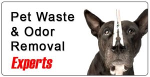 Per urine odor removal