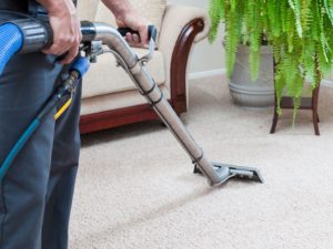 Carpet Cleaning