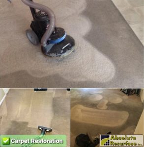 Carpet deep cleaning